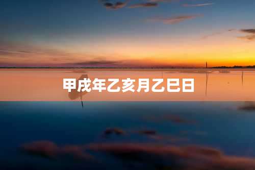 甲戌年乙亥月乙巳日