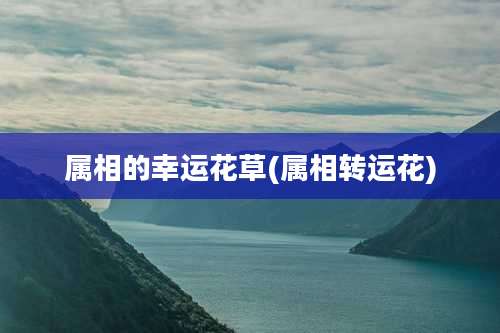 属相的幸运花草(属相转运花)
