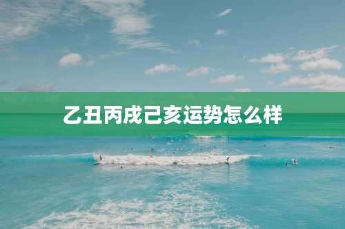 乙丑丙戌己亥运势怎么样