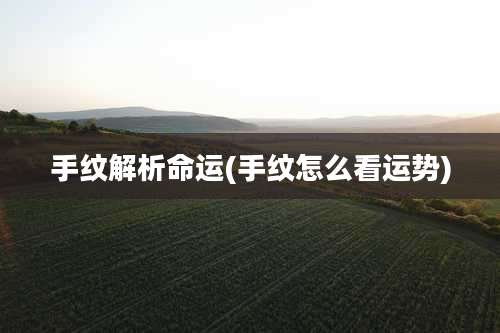 手纹解析命运(手纹怎么看运势)