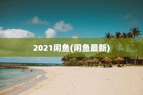 2021闲鱼(闲鱼最新)