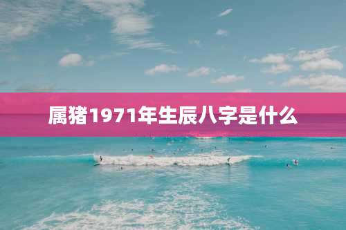 属猪1971年生辰八字是什么
