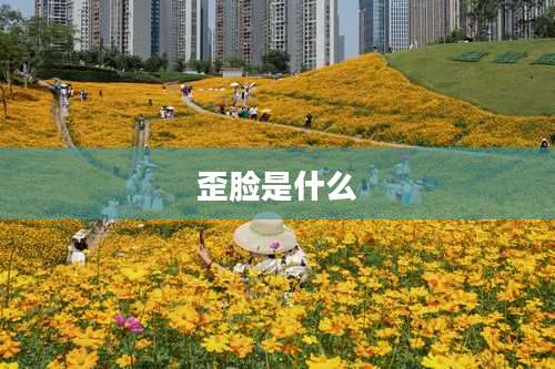 歪脸是什么