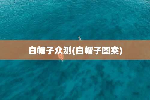 白帽子众测(白帽子图案)