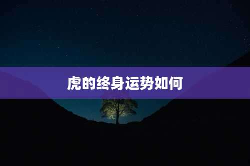 虎的终身运势如何