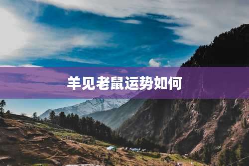 羊见老鼠运势如何