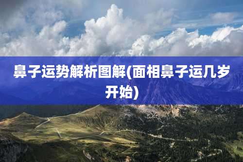 鼻子运势解析图解(面相鼻子运几岁开始)