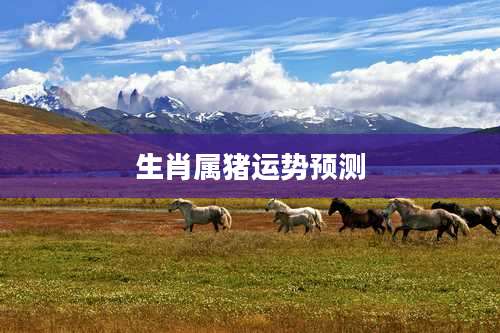 生肖属猪运势预测