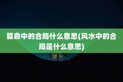 算命中的合局什么意思(风水中的合局是什么意思)