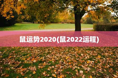 鼠运势2020(鼠2022运程)