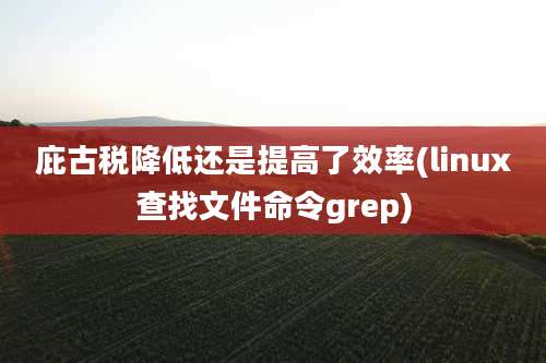 庇古税降低还是提高了效率(linux查找文件命令grep)
