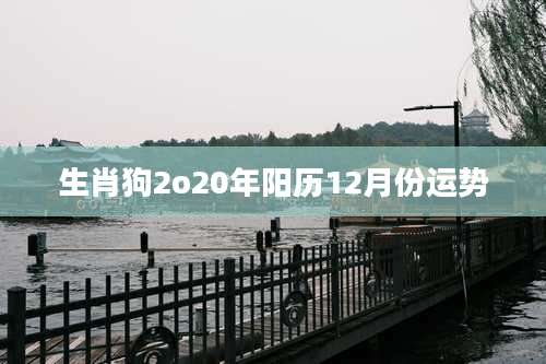 生肖狗2o20年阳历12月份运势