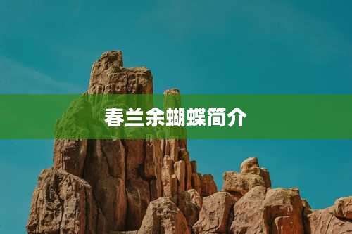 春兰余蝴蝶简介