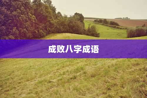 成败八字成语
