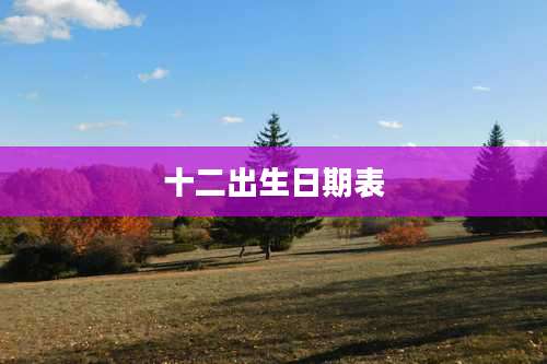 十二出生日期表