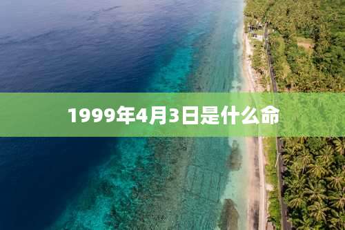 1999年4月3日是什么命