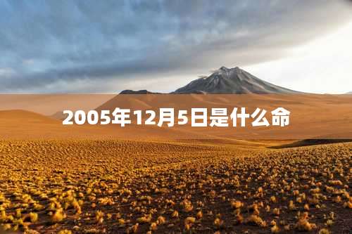 2005年12月5日是什么命