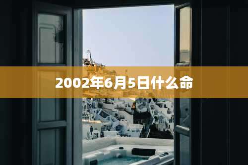 2002年6月5日什么命