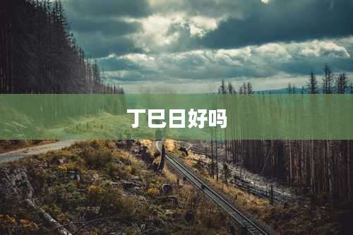 丁巳日好吗