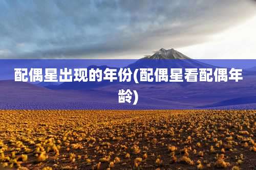 配偶星出现的年份(配偶星看配偶年龄)