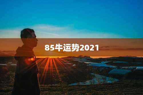 85牛运势2021