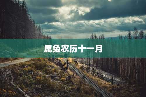 属兔农历十一月