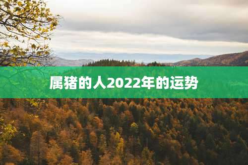 属猪的人2022年的运势
