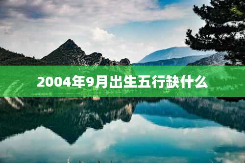 2004年9月出生五行缺什么