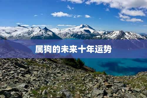 属狗的未来十年运势