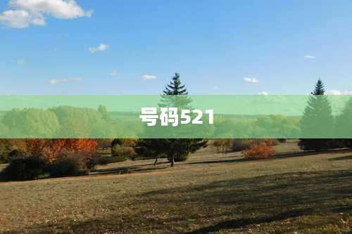 号码521