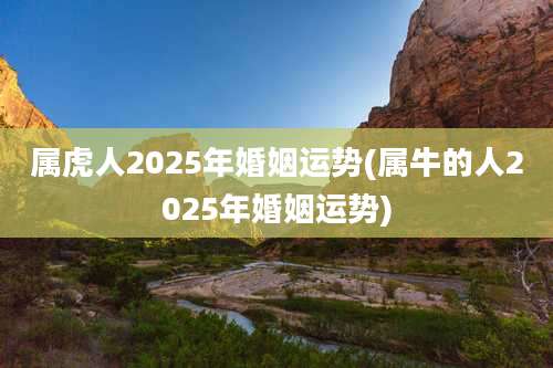 属虎人2025年婚姻运势(属牛的人2025年婚姻运势)