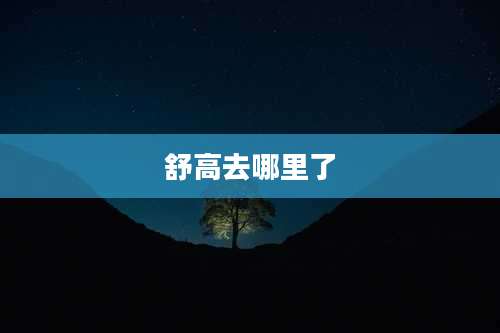 舒高去哪里了