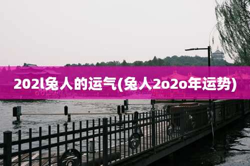 202l兔人的运气(兔人2o2o年运势)