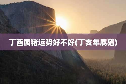 丁酉属猪运势好不好(丁亥年属猪)