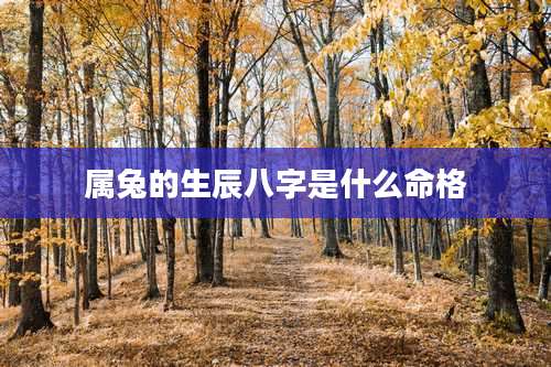 属兔的生辰八字是什么命格