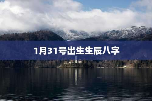 1月31号出生生辰八字