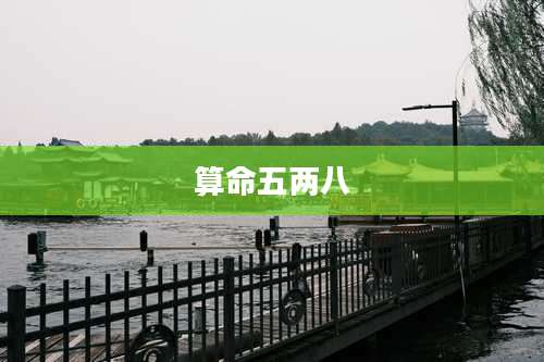 算命五两八