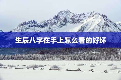 生辰八字在手上怎么看的好坏