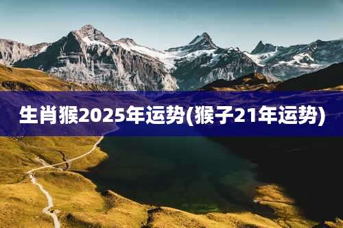 生肖猴2025年运势(猴子21年运势)