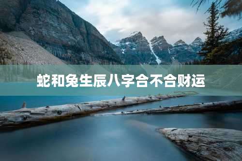 蛇和兔生辰八字合不合财运