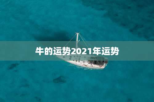 牛的运势2021年运势