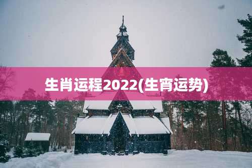 生肖运程2022(生宵运势)