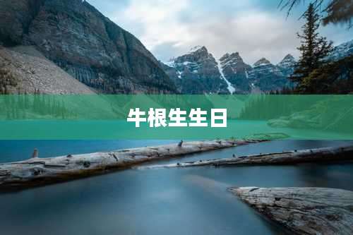 牛根生生日