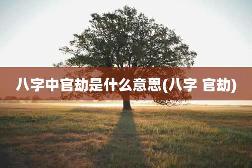 八字中官劫是什么意思(八字 官劫)