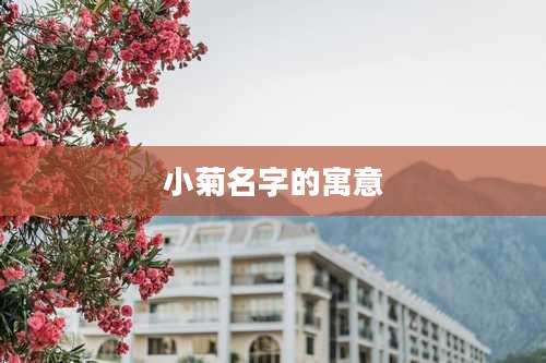 小菊名字的寓意