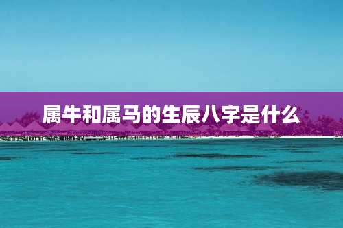 属牛和属马的生辰八字是什么