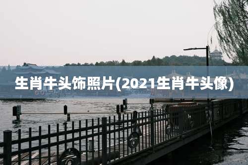 生肖牛头饰照片(2021生肖牛头像)