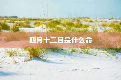 四月十二日是什么命