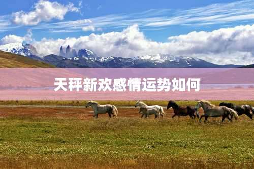 天秤新欢感情运势如何