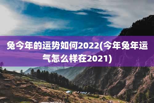 兔今年的运势如何2022(今年兔年运气怎么样在2021)